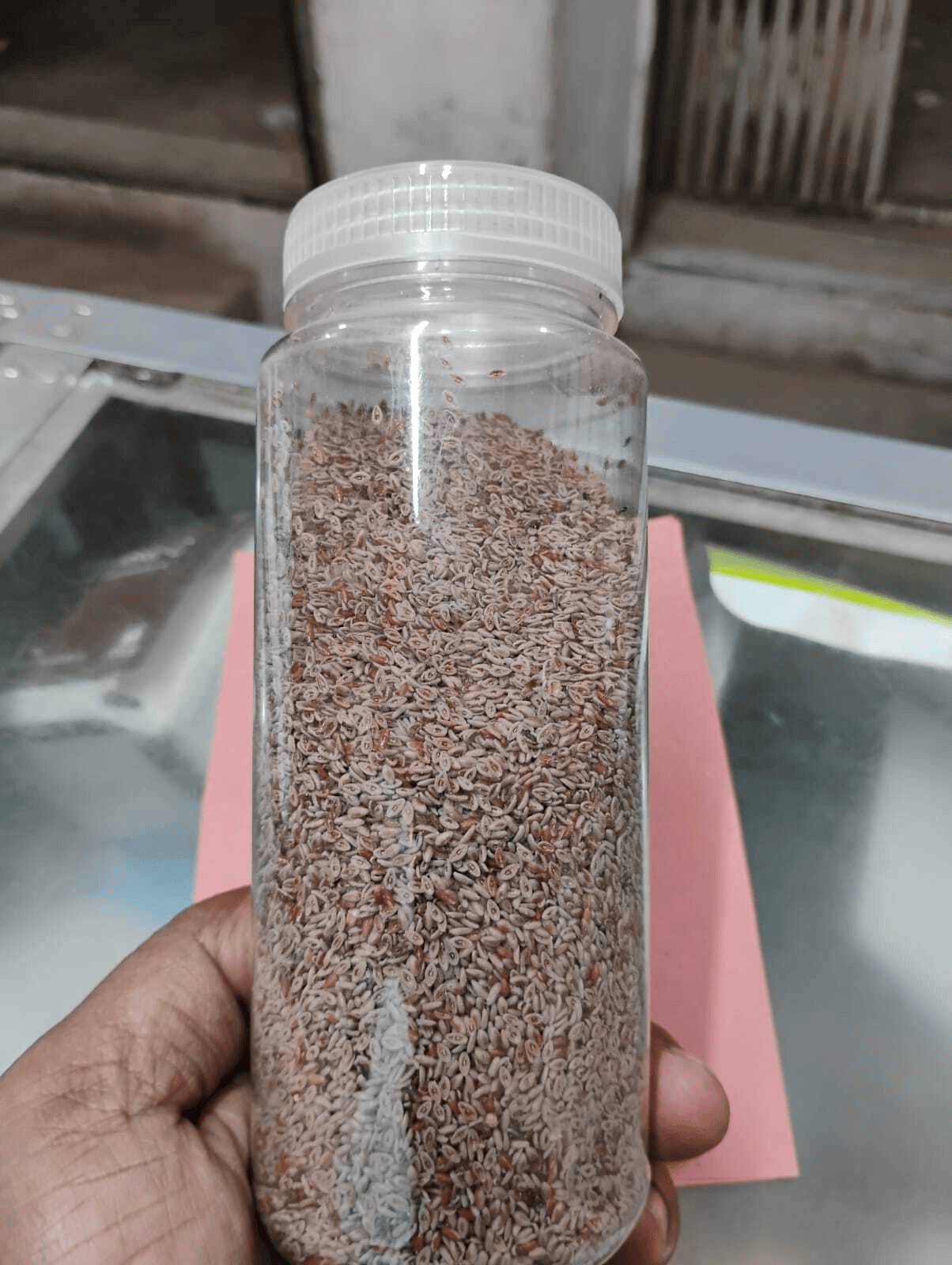 ইসবগুলের বিচি (Isabgol / Psyllium Husk)